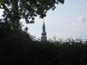 IMG_0005