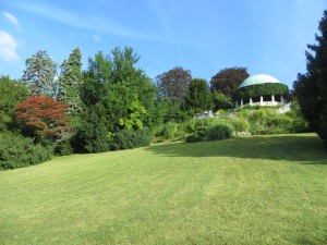 IMG_0006