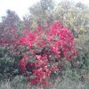 20121007_095644