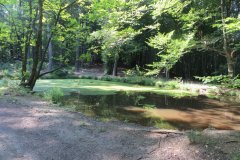 Baden zum Kahlenberg - 10.08.2013