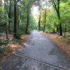 img_0009