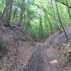 img_0012