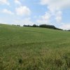img_0031