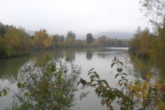 Bisamberg im Nebel - 31.10.2012