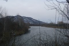 Bisamberg im Winter - 12.12.2012
