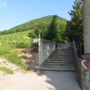 img_0004