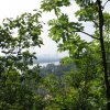 img_0007