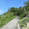img_0008
