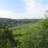 img_0009