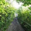 img_0011