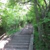img_0013