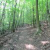 img_0021