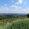 img_0030
