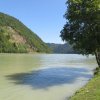 img_0042