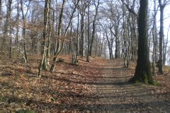 Rohrerwiese - Sophienalpe - Hameauwiese - 25.10.2012