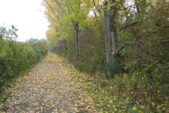 Über die Elisabethhöhe - 24.10.2012