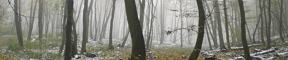 Die Welt ist schön, Lauf – Impressionen