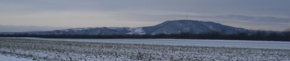 Die Welt ist schön, Lauf – Impressionen
