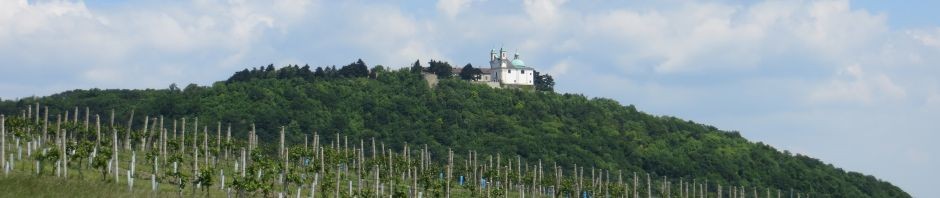 Die Welt ist schön, Lauf – Impressionen